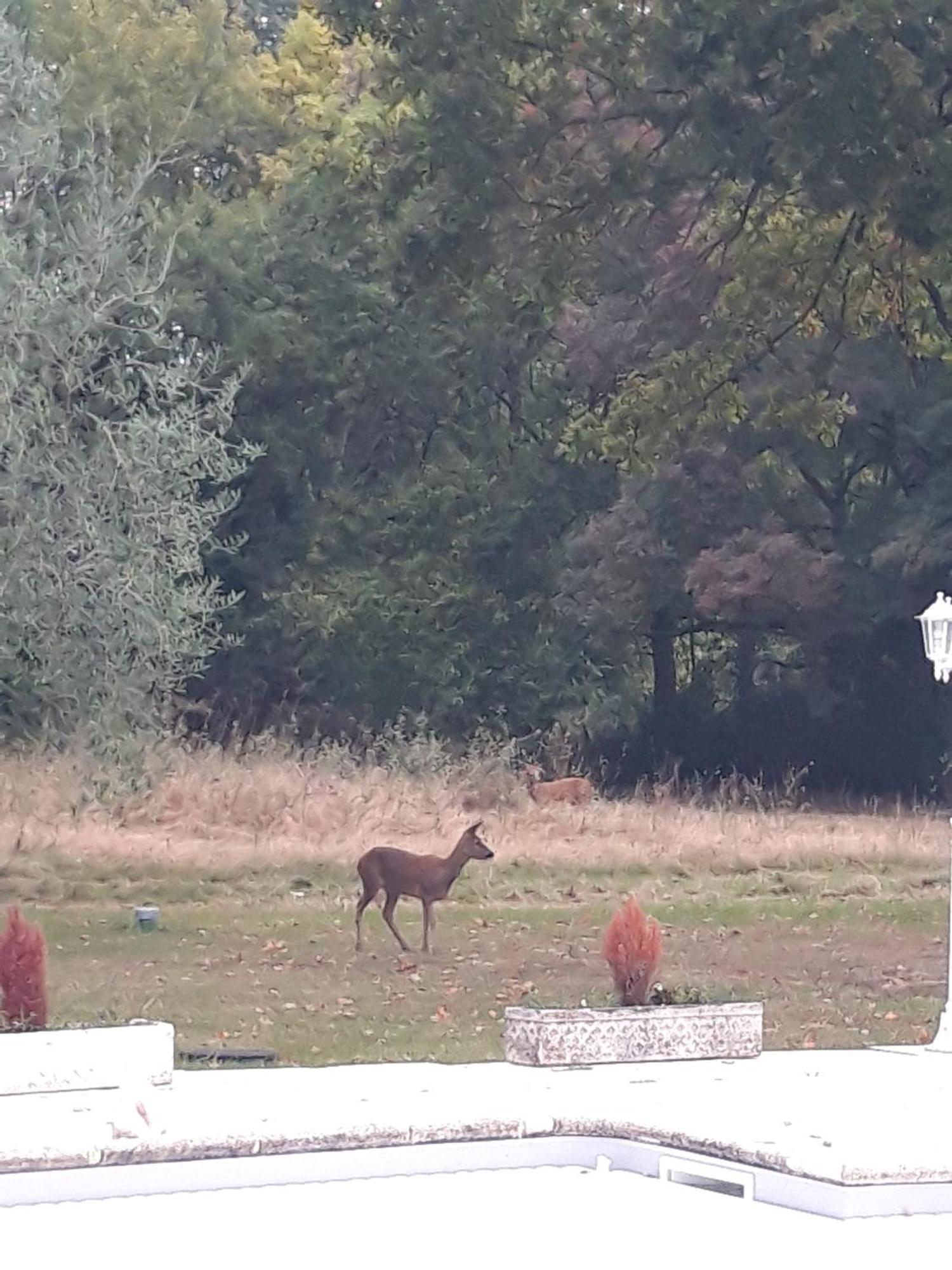 ホテル Domaine Fontcouverte Fontcouverte  エクステリア 写真