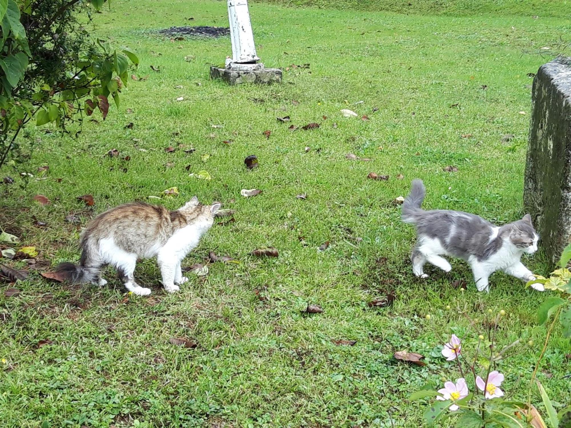 ホテル Domaine Fontcouverte Fontcouverte  エクステリア 写真